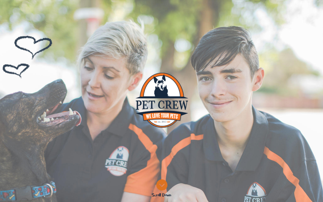 Pet Crew