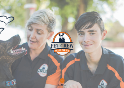 Pet Crew